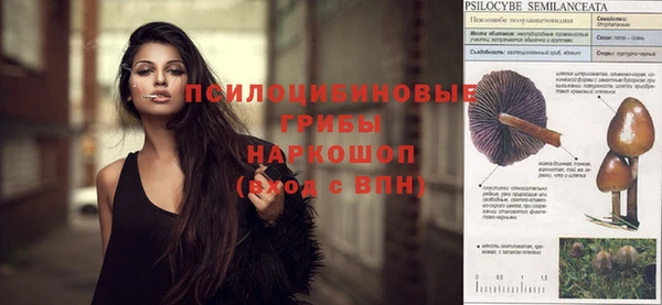 молекула духа Новокубанск