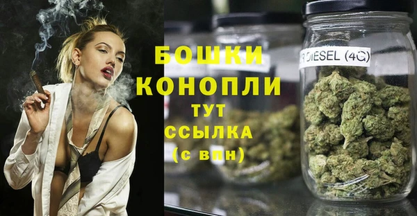 Альфа ПВП Новодвинск